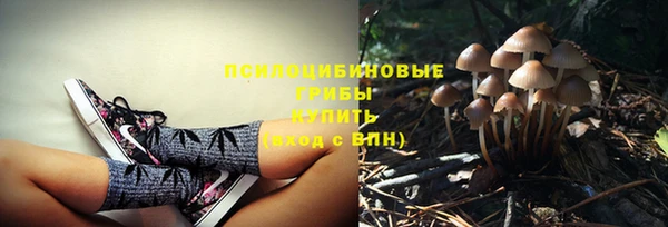 jwh Алексеевка