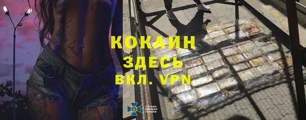 молекула духа Алзамай