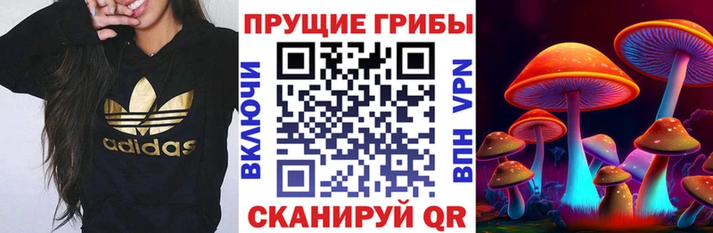 omg маркетплейс  Новая Усмань  Псилоцибиновые грибы мицелий 
